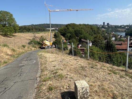 Vorne halbrechts unten der Granzstein SH-ZH, mittig zwischen linkem Baum und dem halblinken Gesträuch ist in der Wiese der Grenzstein der Landesgrenze zu erkennen.