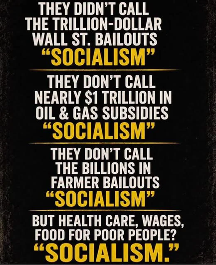 Bold text arguing that trillion-dollar Wall Street bailouts, nearly $1 trillion in oil and gas subsidies, and billions in farmer bailouts weren’t called “socialism,” while health care, wages, and food for poor people are labeled “socialism.”